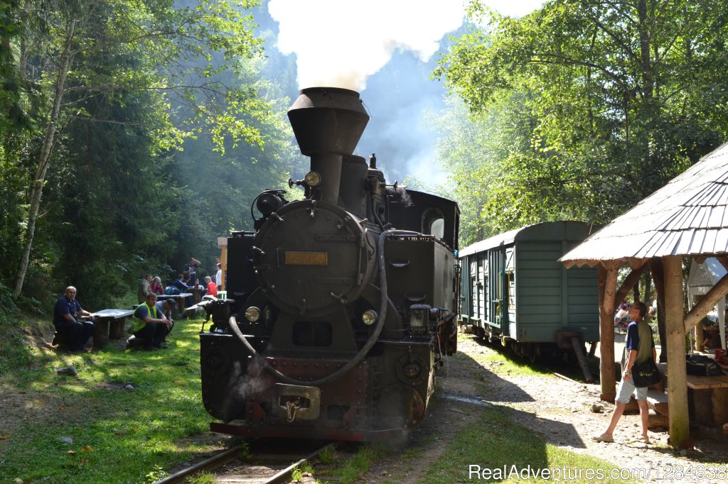 Steam engine on Vaser Valley | Discover Authentic Romania - 3 to 12 day tour | Image #14/26 | 