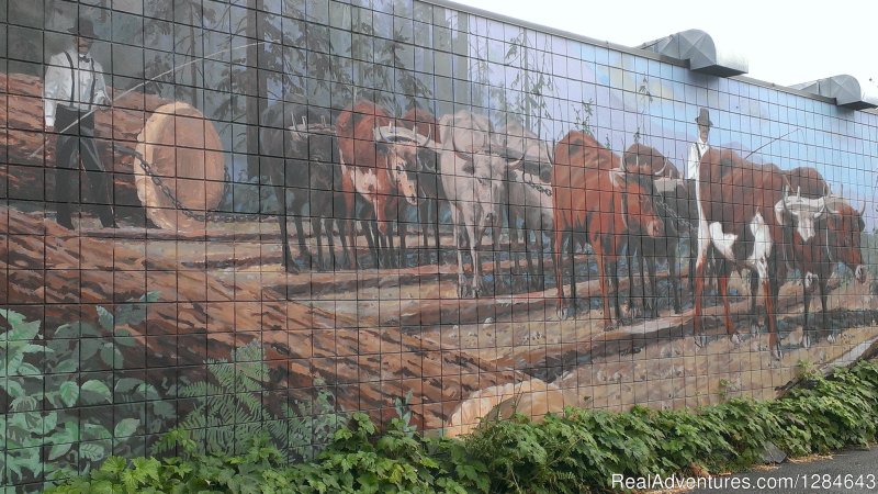 Chemainus- town of murals | Surfside Adventure Tours-Private Tour Guide | Image #19/26 | 