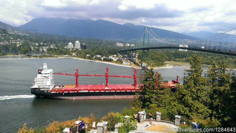 View from Stanley Park | Surfside Adventure Tours-Private Tour Guide | Image #25/26 | 