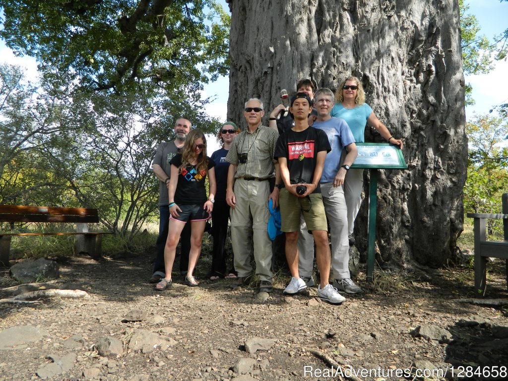 Happy travellers at the Baobab tree in Mopani Rest Camp | Kruger National Park Game Hotspot Safari's | Image #10/10 | 
