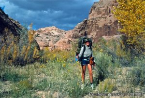 Big Wild Adventures | Emigrant, Montana Hiking & Trekking | Helena, Montana