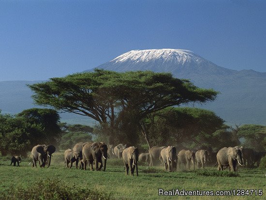 The Roof of Africa | Wild Secret Safaris | Image #2/4 | 