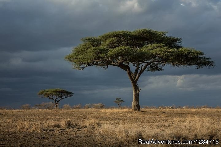 Landscapes | Wild Secret Safaris | Image #3/4 | 