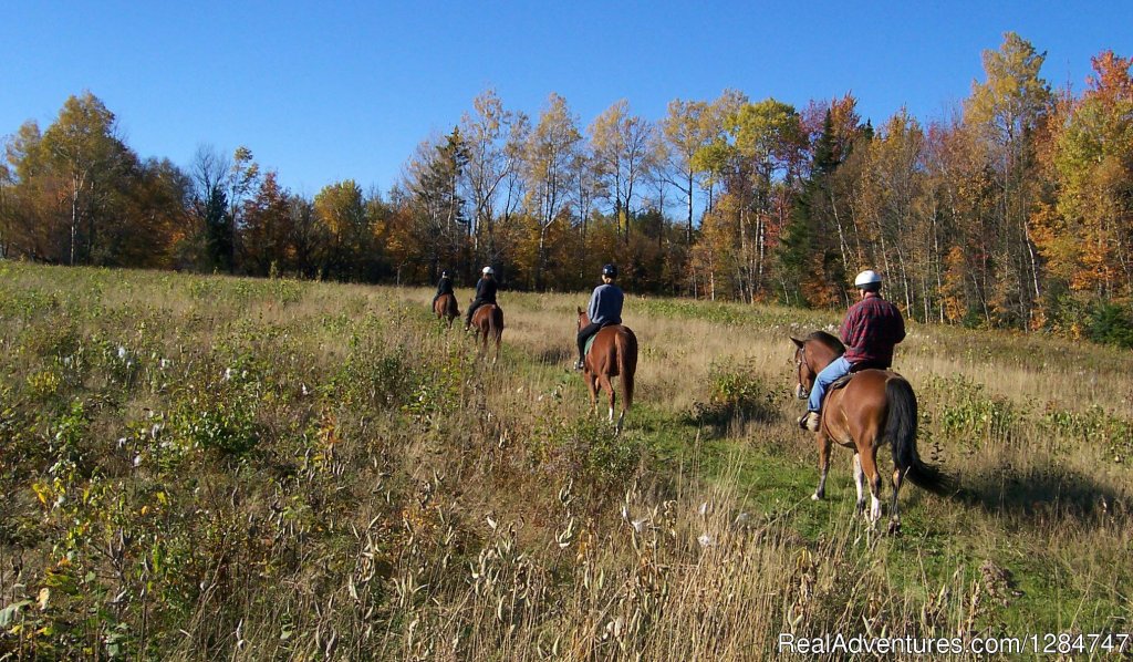 Spectacular Views | Guided Horseback Riding In The Northeast Kingdom | East Burke, Vermont  | Horseback Riding & Dude Ranches | Image #1/3 | 