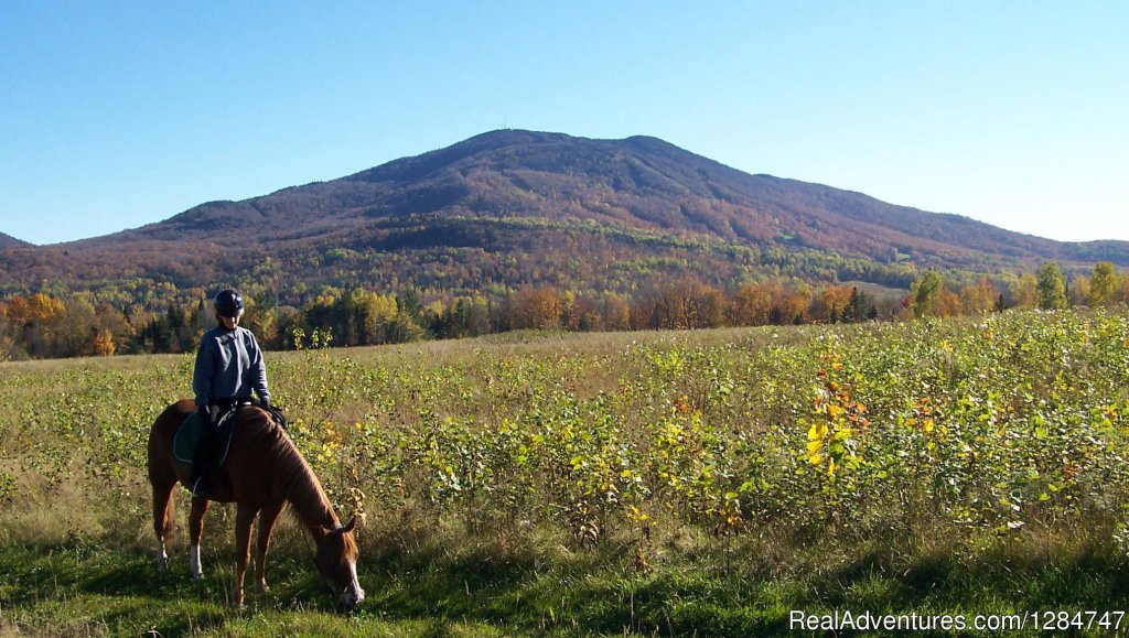 Spectacular Views | Guided Horseback Riding In The Northeast Kingdom | Image #3/3 | 
