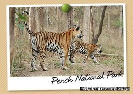 Pench Wildlife Safari Packages | Nagpur, India Bed & Breakfasts | India Bed & Breakfasts