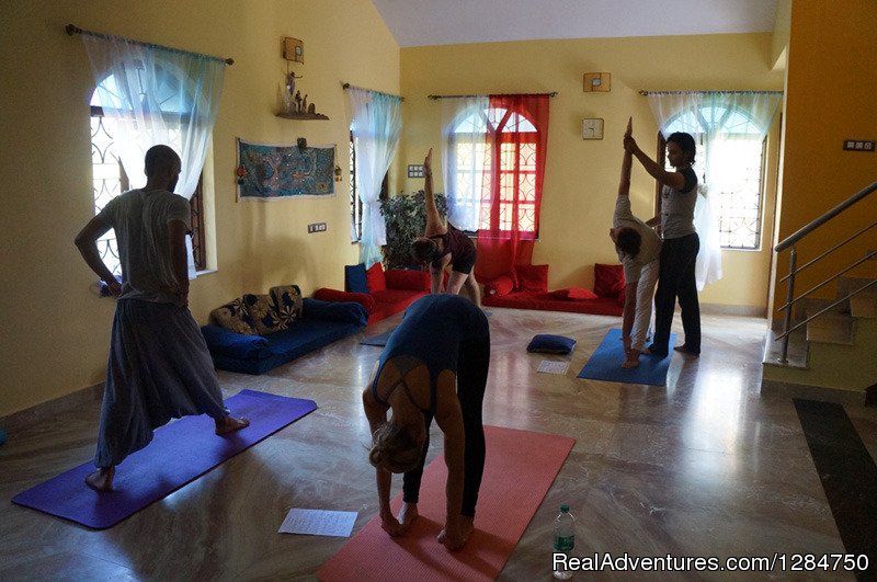 School of Holistic Yoga & Ayurveda Goa | Image #4/17 | 