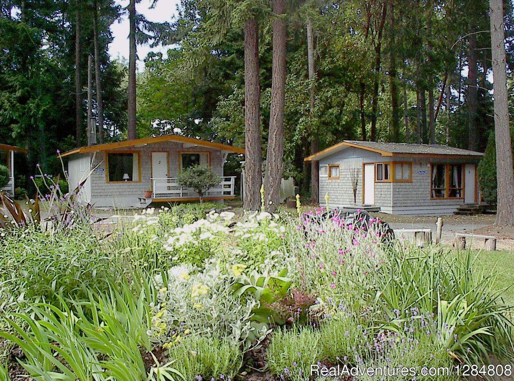 Sample cabins | Cozy Cottages steps from Gulf Island Seashore | Image #3/5 | 