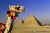 Tour Egypt In Affordable Cost With (egypt Sunset) | Cairo, Egypt