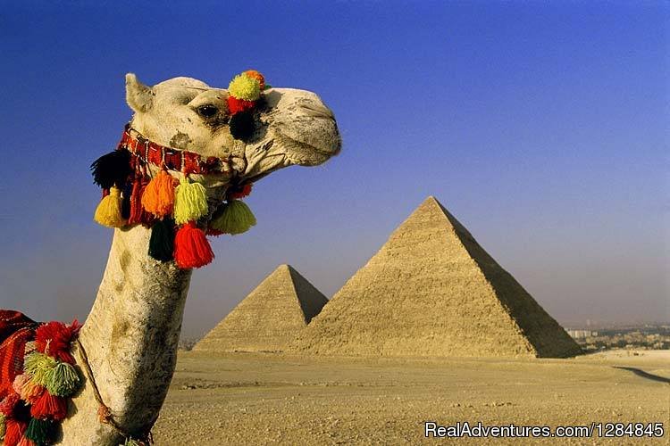 Tour Egypt In Affordable Cost With (egypt Sunset) | Cairo, Egypt | Sight-Seeing Tours | Image #1/3 | 