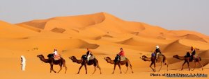 RoveMoroccoTravels - Private & Custom Tours | Casablanca and Fes, Morocco Sight-Seeing Tours | Rabat, Morocco
