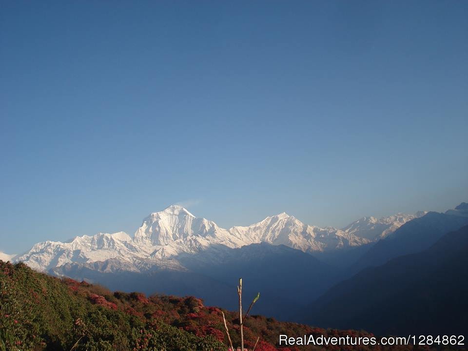 Annapurna Sanctuary 14 Day Trek | Kathmandu, Nepal | Hiking & Trekking | Image #1/7 | 