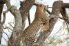Explore Tanzania Safaris | Arusha, Tanzania