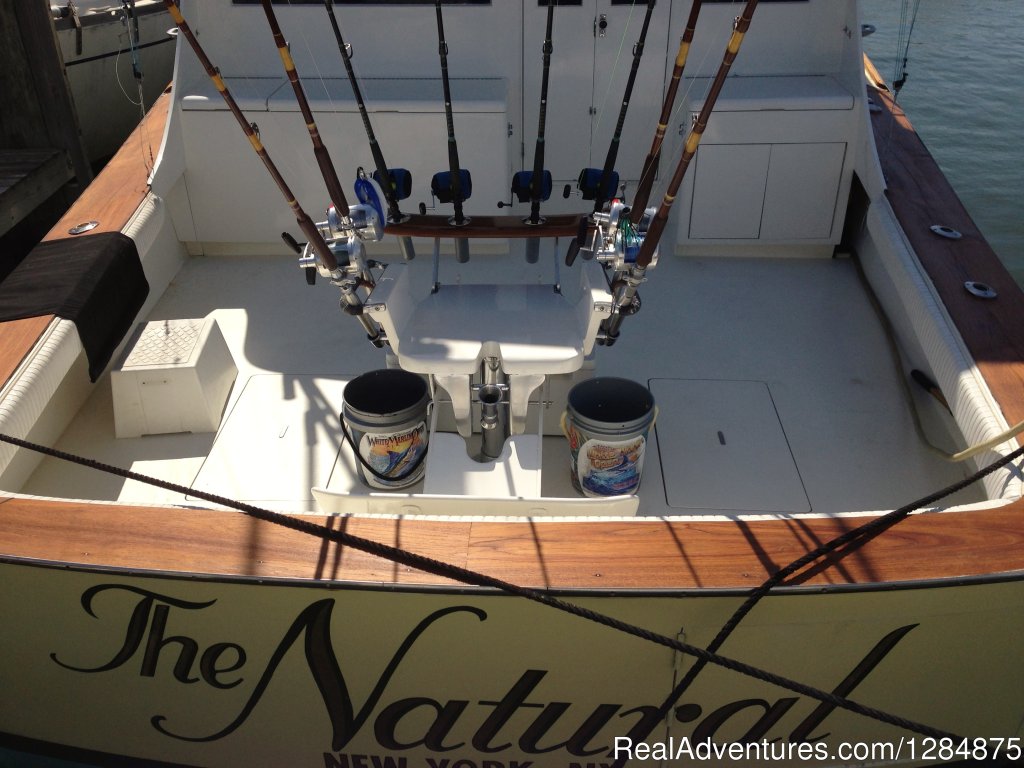 The Natural - Ready for your trip in the bay or off shore | Charter Fishing trips Deale MD | Deale, Maryland  | Fishing Trips | Image #1/1 | 