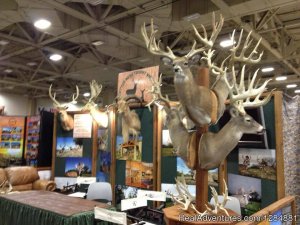 Cotton Mesa Trophy Whitetail | Wortham, Texas Fishing Trips | New Braunfels, Texas Fishing & Hunting