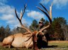 Hunting Oufitter | Henderson, Tennessee