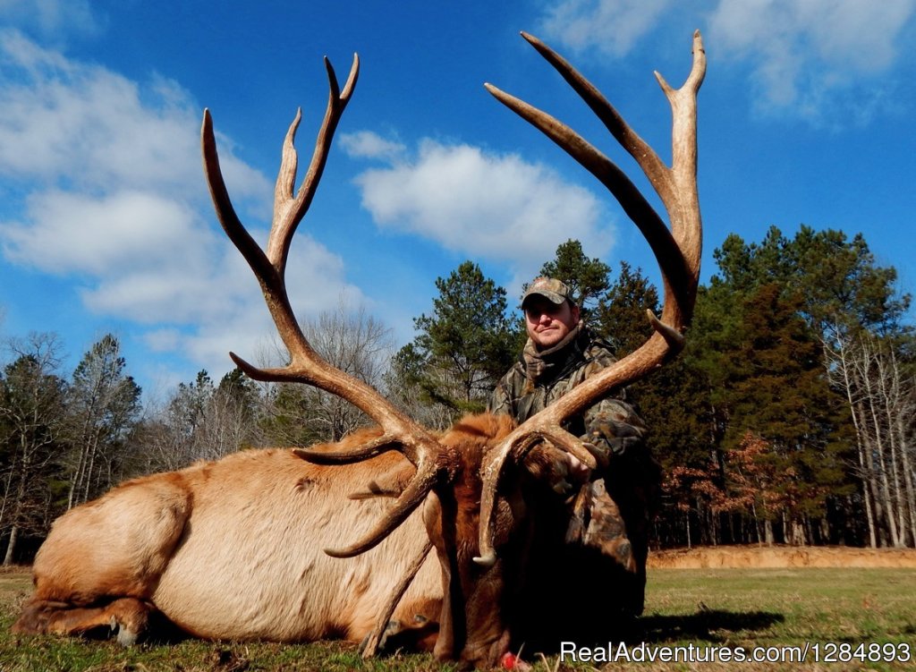 David with a huge Elk. | Hunting Oufitter | Henderson, Tennessee  | Hunting Trips | Image #1/2 | 