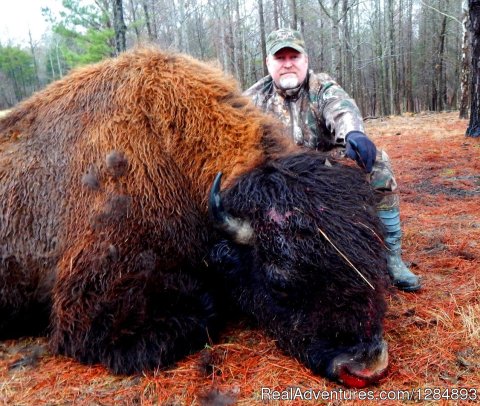 Don with an awesome Buffalo.