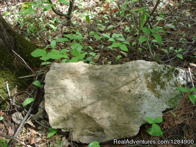 Rock collecting Lake Champlain area New York | Prehistory Adventures | Image #3/4 | 