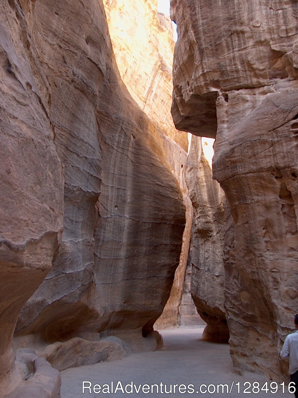 The Siq | Petra - The Rosey City - one Of the 7 wonders | Image #4/20 | 