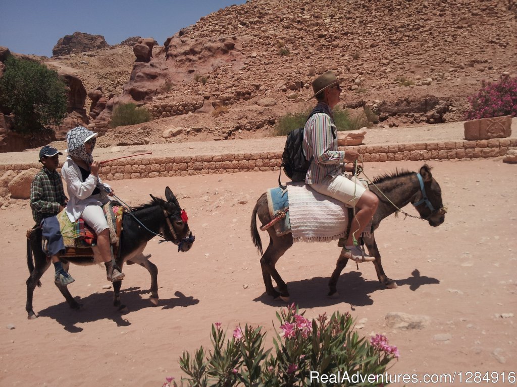 Donkey Ride in Petra | Petra - The Rosey City - one Of the 7 wonders | Image #17/20 | 