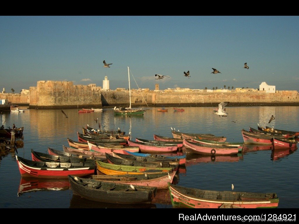 Essaouira coast experience | Enjoy a real adventure with a Moroccan tour guide | Image #11/16 | 