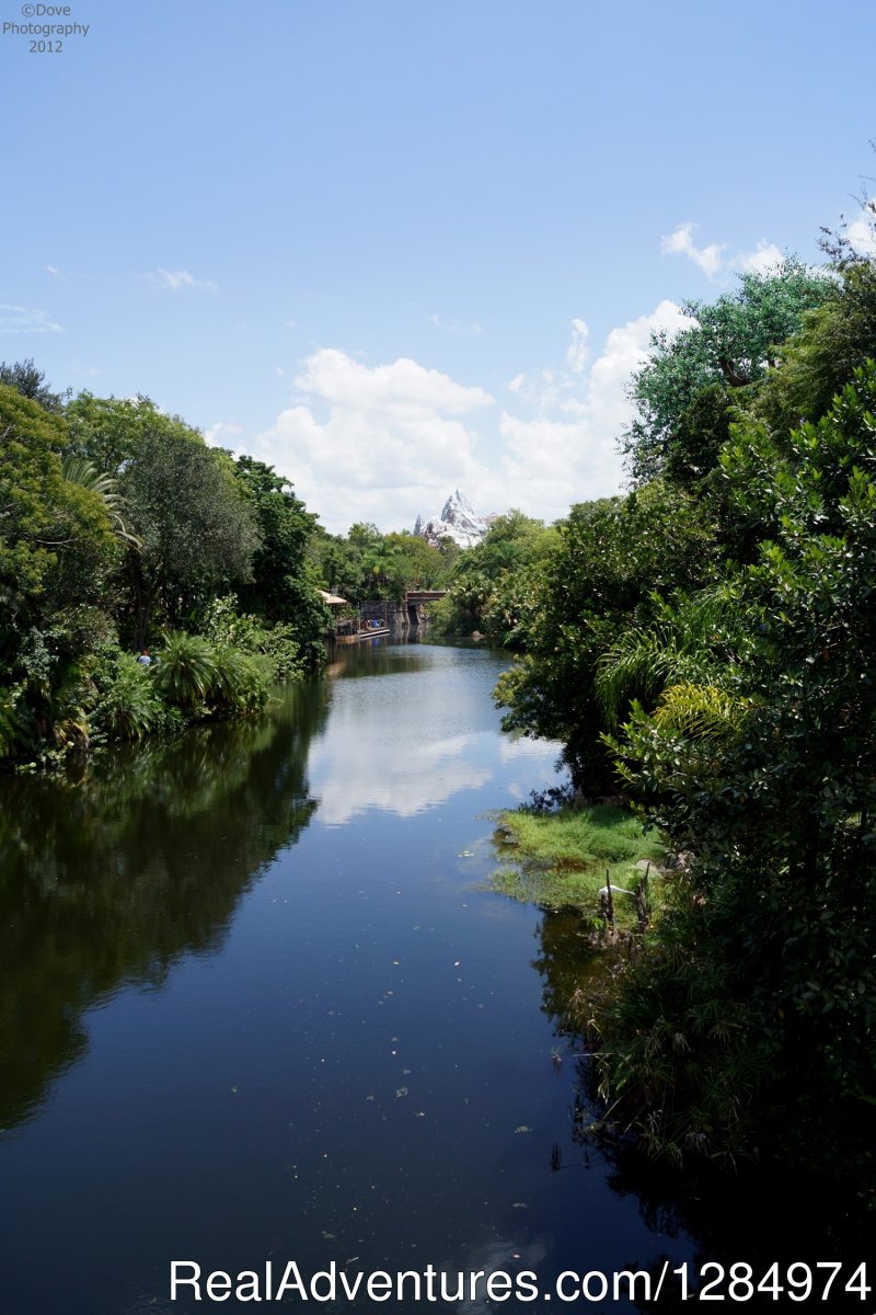 Disney Travel Planner + Tour Guide + Photographer | Orlando, Florida  | Tourism Center | Image #1/7 | 