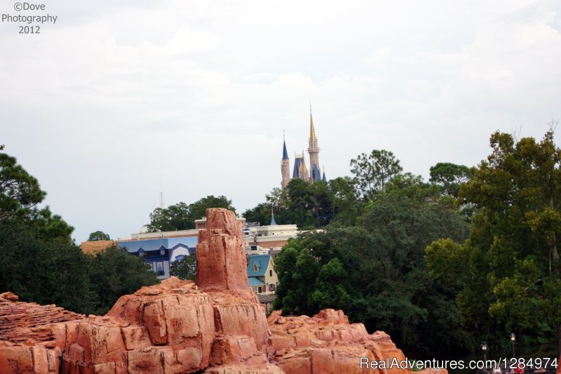 Disney Travel Planner + Tour Guide + Photographer | Image #5/7 | 