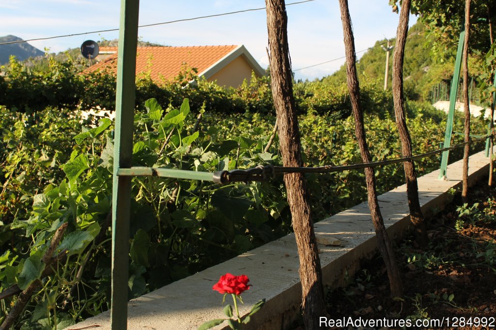 Explore Skadar Lake Multi-Active Holidays | Image #3/10 | 