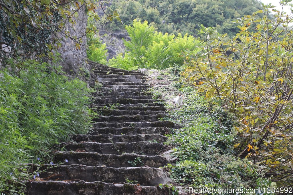 Explore Skadar Lake Multi-Active Holidays | Image #8/10 | 