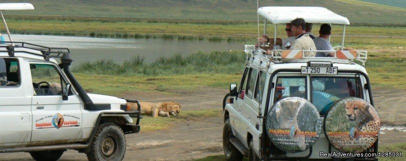 Luxury Safari in Tanzania | Holidays Safari Tour in Tanzania | Image #4/6 | 