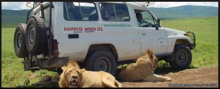 Tanzania Tours and Safaris | Holidays Safari Tour in Tanzania | Image #6/6 | 