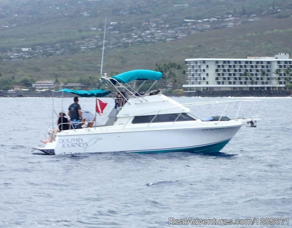 Dolphin TLC - Our Boat | Dolphin Journeys - Kona Coast  Big Island Hawaii | Kailua Kona, Hawaii  | Eco Tours | Image #1/4 | 