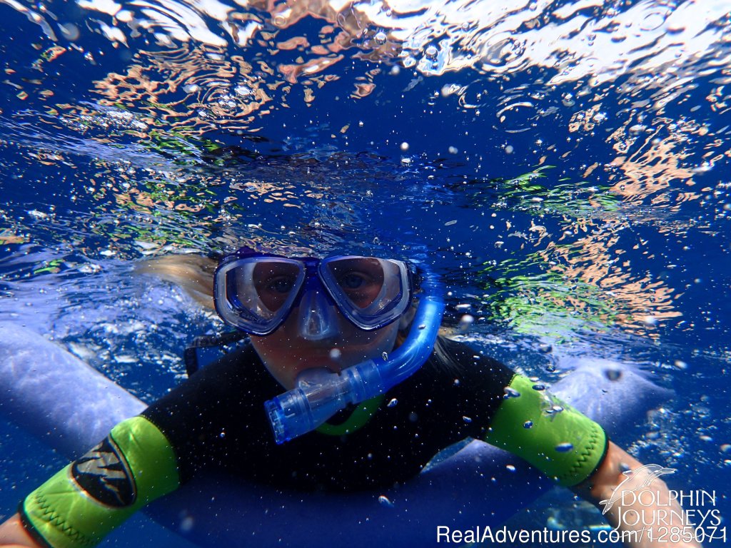 First Time Snorkel | Dolphin Journeys - Kona Coast  Big Island Hawaii | Image #2/4 | 