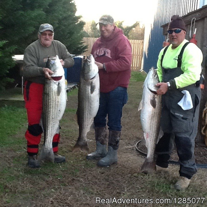Cape Charles Fishing Adventure with Capt. Ken | Cape Charles, Virginia  | Fishing Trips | Image #1/1 | 