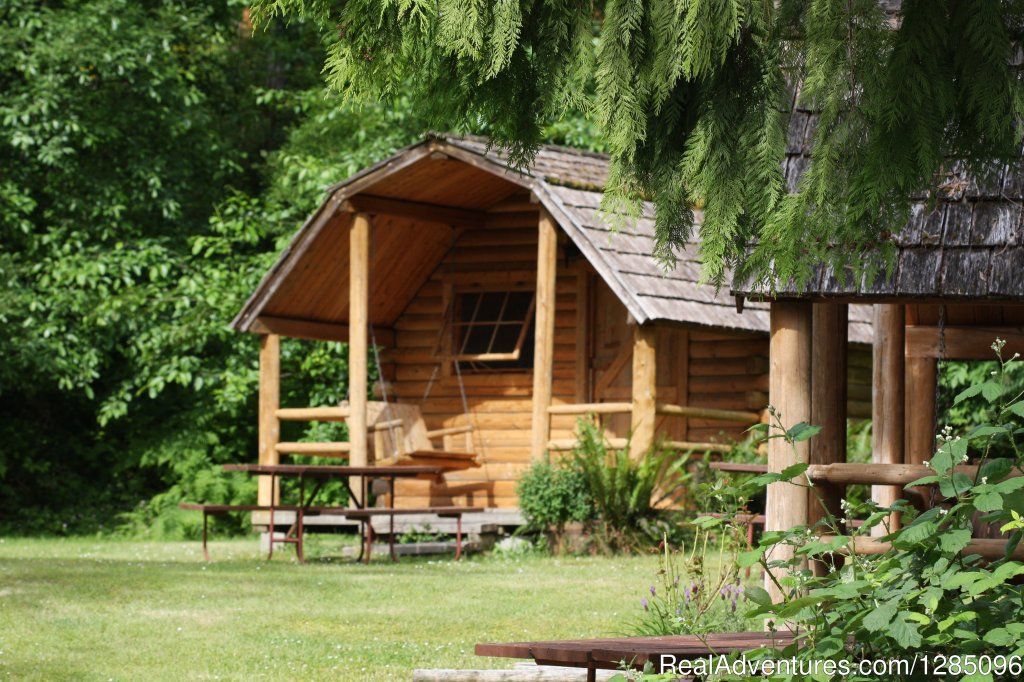 One Room Bunkhouse | Family Fun Camping in a Lovely Forest Setting | Image #4/4 | 