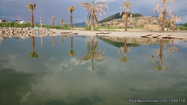 Our eco swimming pool | Sports & Adventure Course & landscape wellness | Dalyan - Mugla, Turkey | Theme Park | Image #1/22 | 