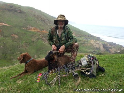 New Zealand Goat bow hunting - waikato bow hunter