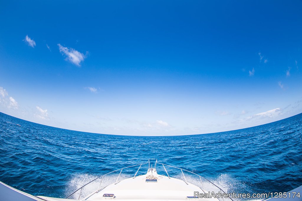Private Fishing Charter & Sightseeing Yacht Trip | Image #4/19 | 