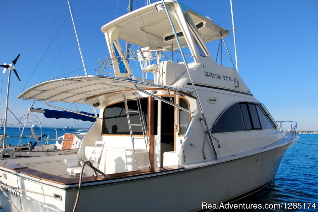 Private Fishing Charter & Sightseeing Yacht Trip | Image #5/19 | 