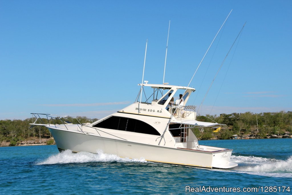 Private Fishing Charter & Sightseeing Yacht Trip | Image #8/19 | 