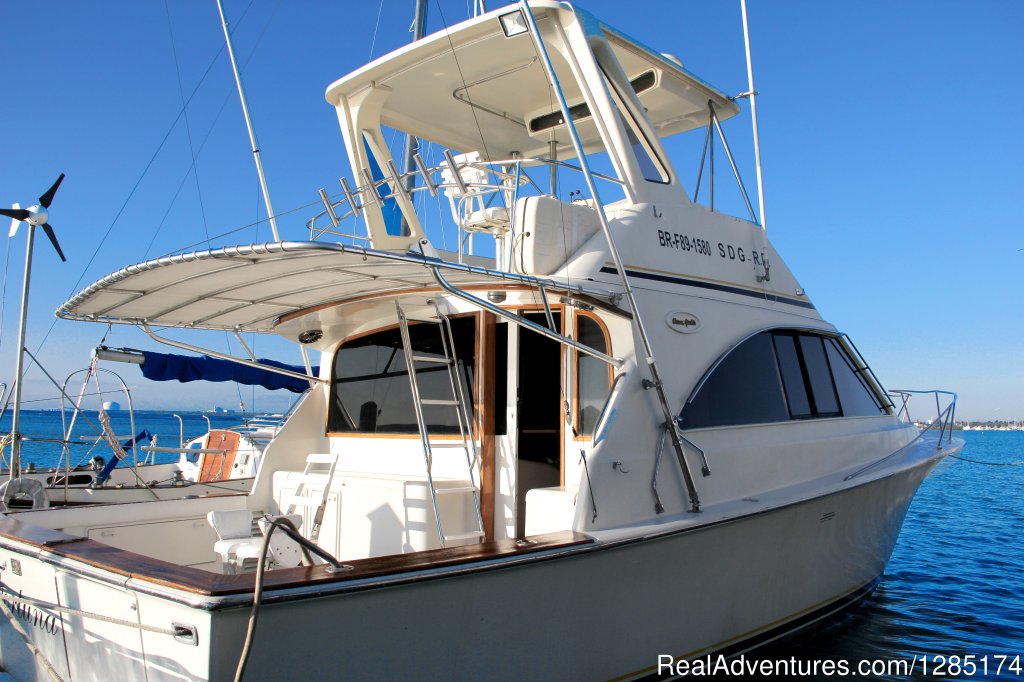 Private Fishing Charter & Sightseeing Yacht Trip | Image #12/19 | 