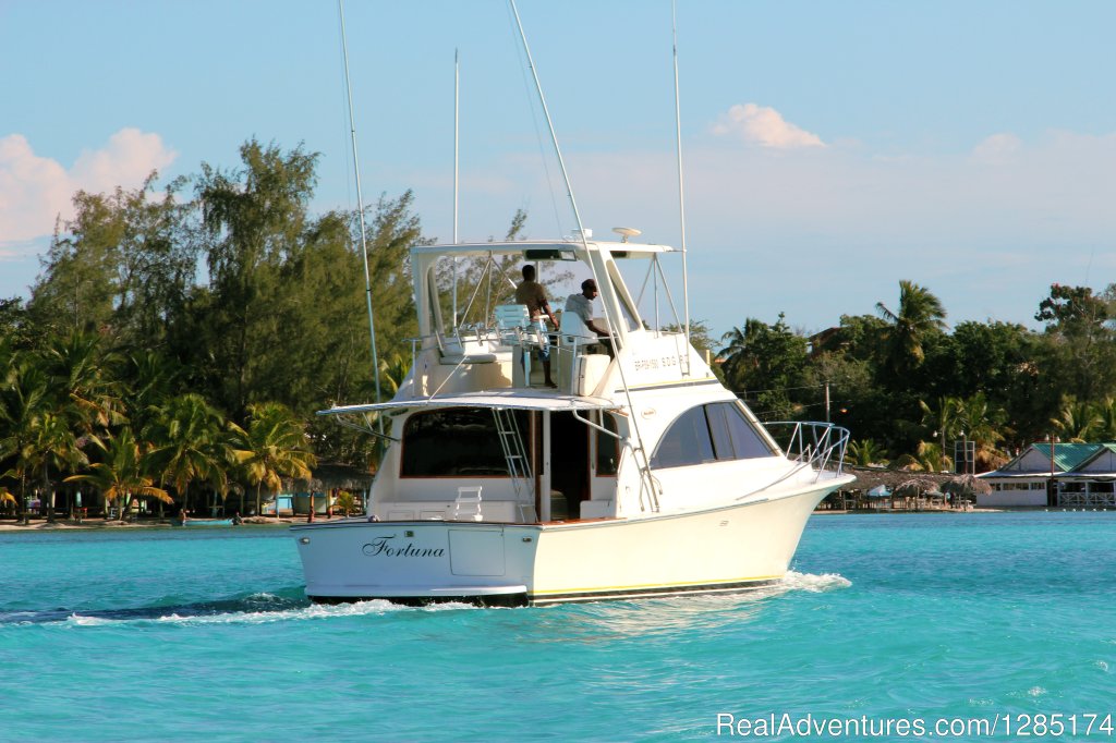 Private Fishing Charter & Sightseeing Yacht Trip | Image #16/19 | 