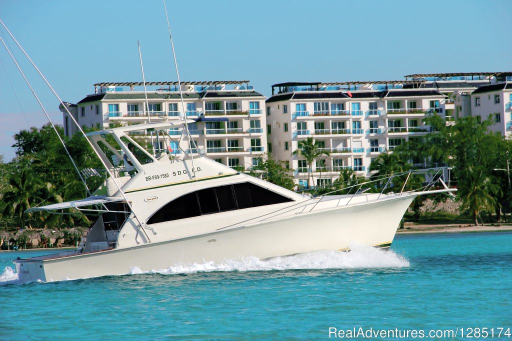 Private Fishing Charter & Sightseeing Yacht Trip | Image #17/19 | 