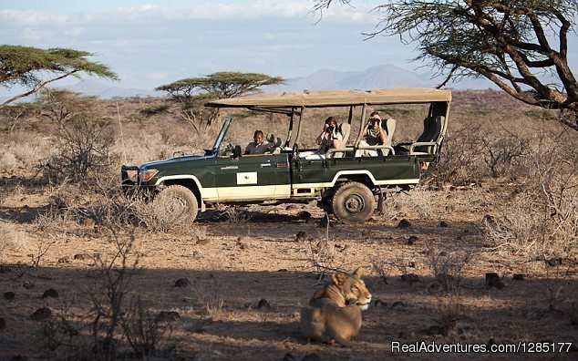 Masai Mara Safari Tours | East African Exotic Safaris | Image #2/12 | 