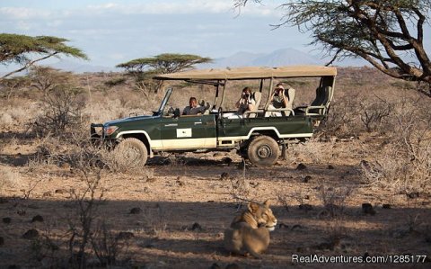 Masai Mara Safari Tours