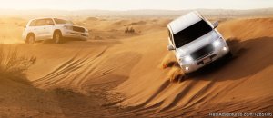 Desert Safari Tour Dubai | Dubai, United Arab Emirates Sight-Seeing Tours | Darien, United Arab Emirates