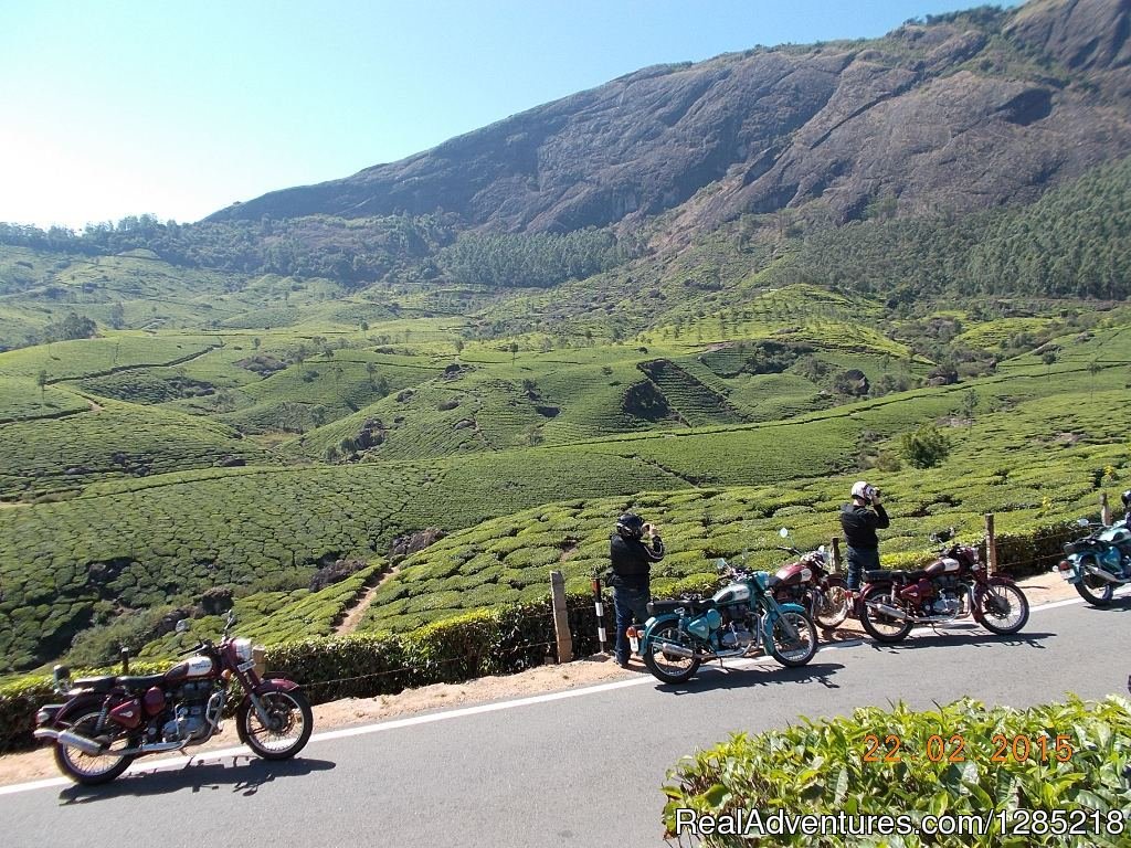 Huge Tea Plantation in South India. | Motorcycle Tours India -Royal Bike Riders | Image #7/25 | 