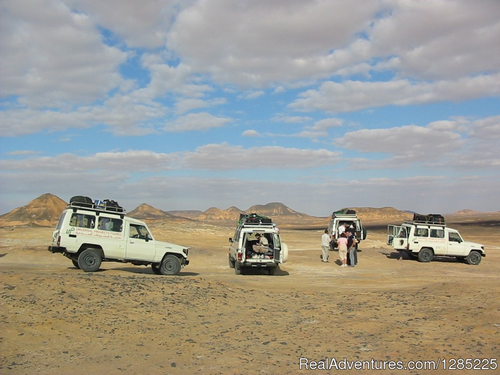 4X4 Safari into the Western Desert | professional  tours in Egypt at affordable price | Image #7/24 | 