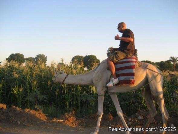 Camel Ride into the countryside of Luxor | professional  tours in Egypt at affordable price | Image #15/24 | 